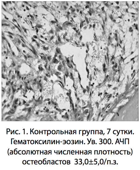 Рис. 1. Контрольная группа
