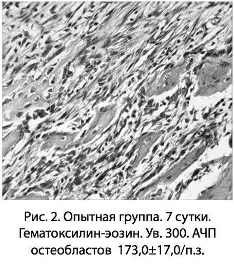Рис. 2. Опытная группа