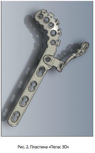Рис. 2. Пластина Пегас 3D