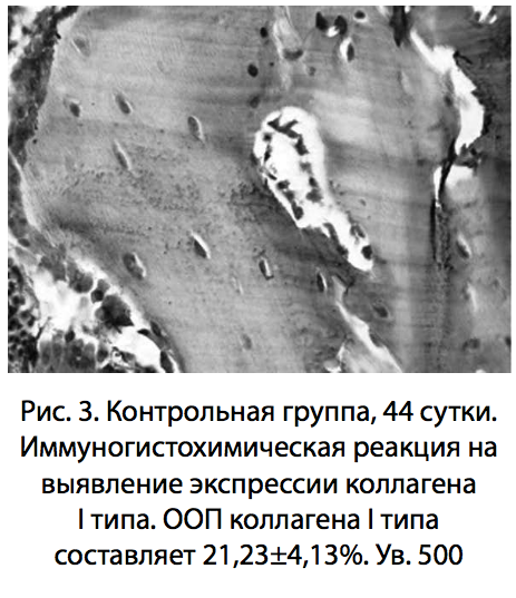 Рис. 3. Контрольная группа 44