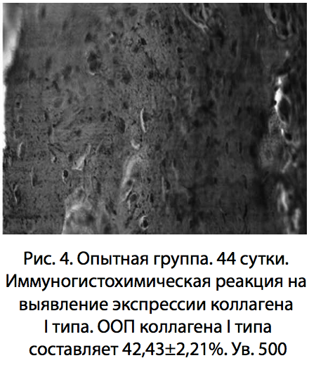 Рис. 4. Опытная группа. 44