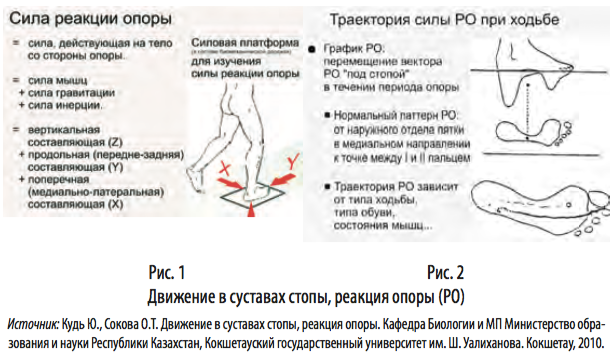 рис1 2